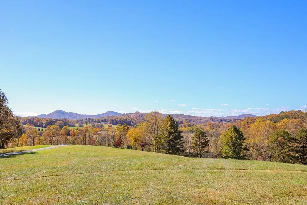 Lot 3 Hinton River Lane, Hayesville, NC 28904 - #1