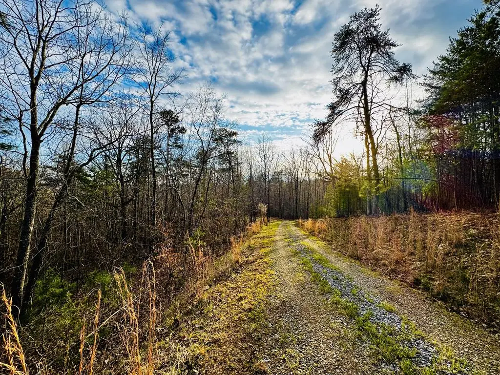 287 Lookout Valley Trail, Talking Rock, GA 30175 - #1