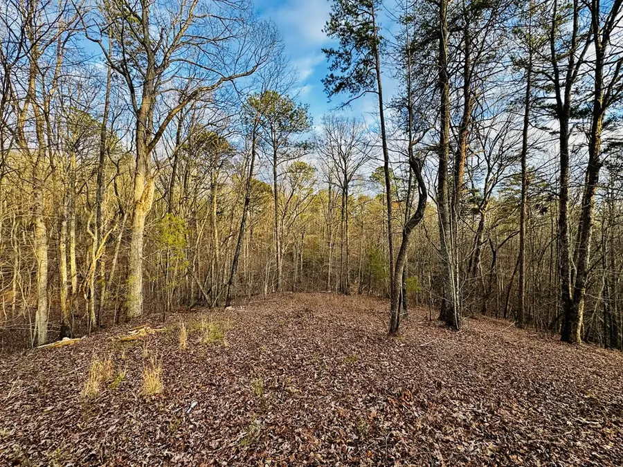 287 Lookout Valley Trail, Talking Rock, GA 30175 - #3