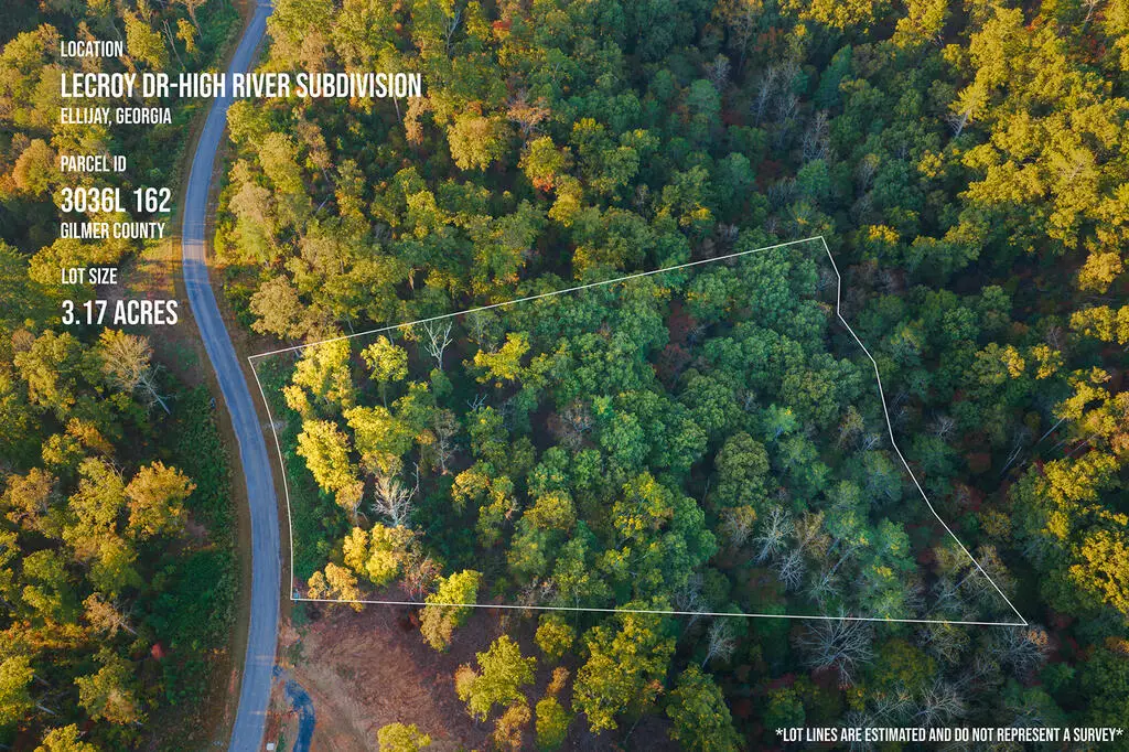 Lot 162 Lecroy Drive, Ellijay, GA 30540 - #1