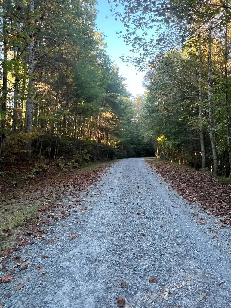 154 W Otahki Trail, Ellijay, GA 30540 - #2