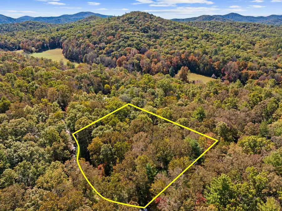 LT 12 Hillbilly Holler, Blue Ridge, GA 30513 - #2