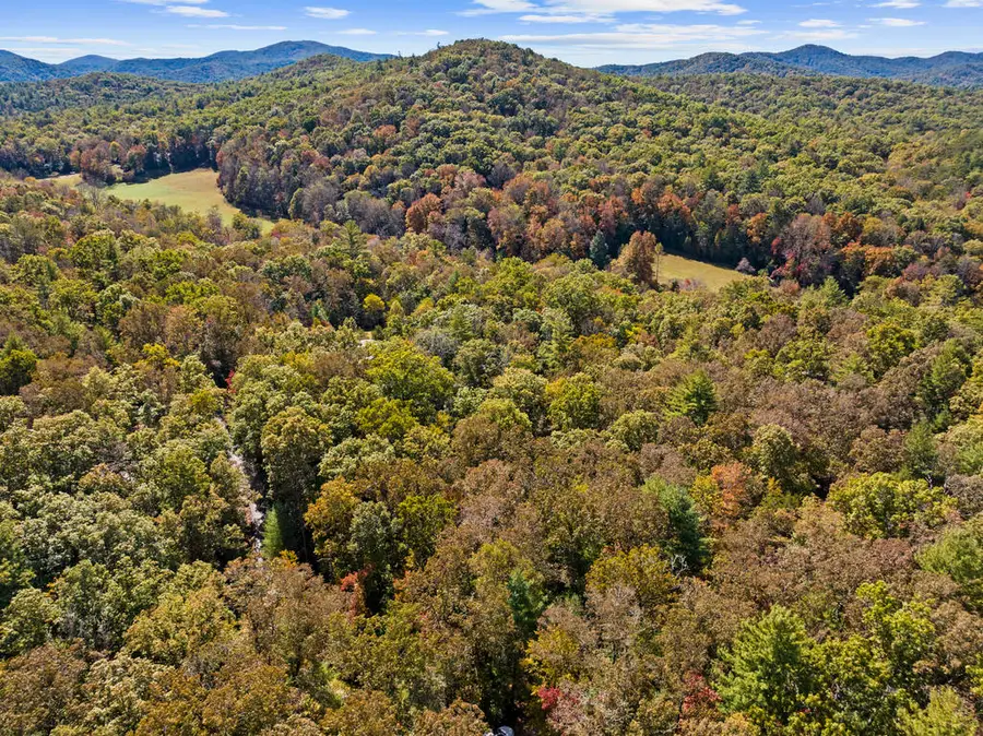 LT 12 Hillbilly Holler, Blue Ridge, GA 30513 - #3