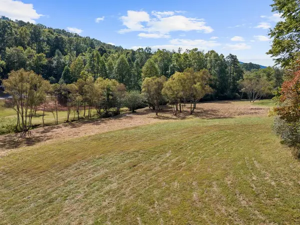 Lot 2 Premier Drive, Blue Ridge, GA 30513