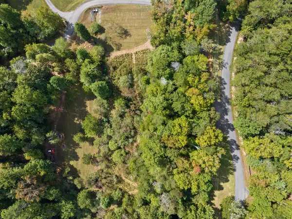 Lot 3 Premier Drive, Blue Ridge, GA 30513