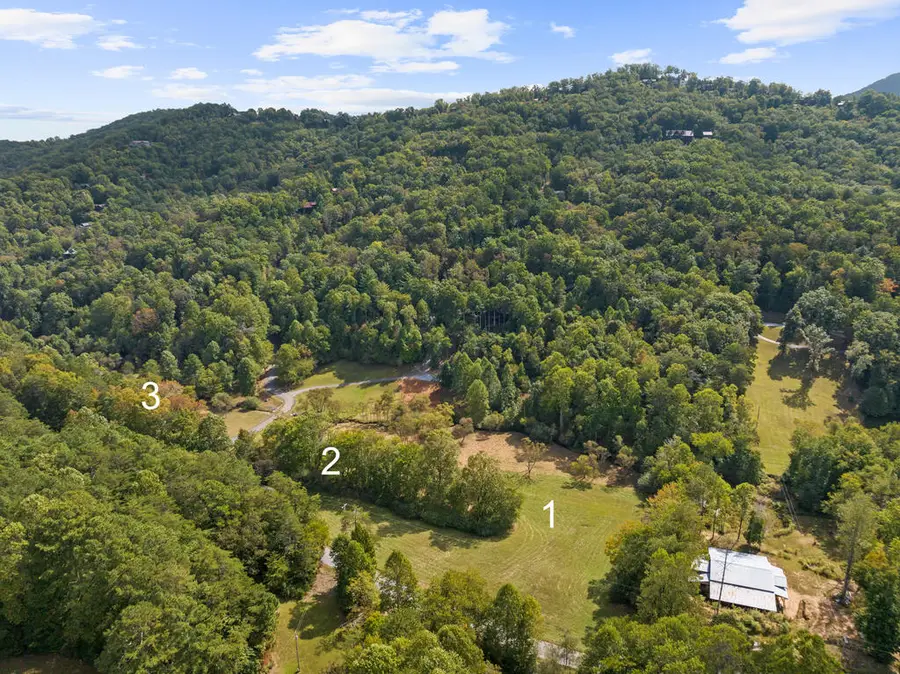 Lot 3 Premier Drive, Blue Ridge, GA 30513 - #2