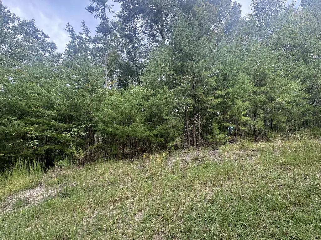 LT1297 Arrow Court, Ranger, GA 30734 - #1