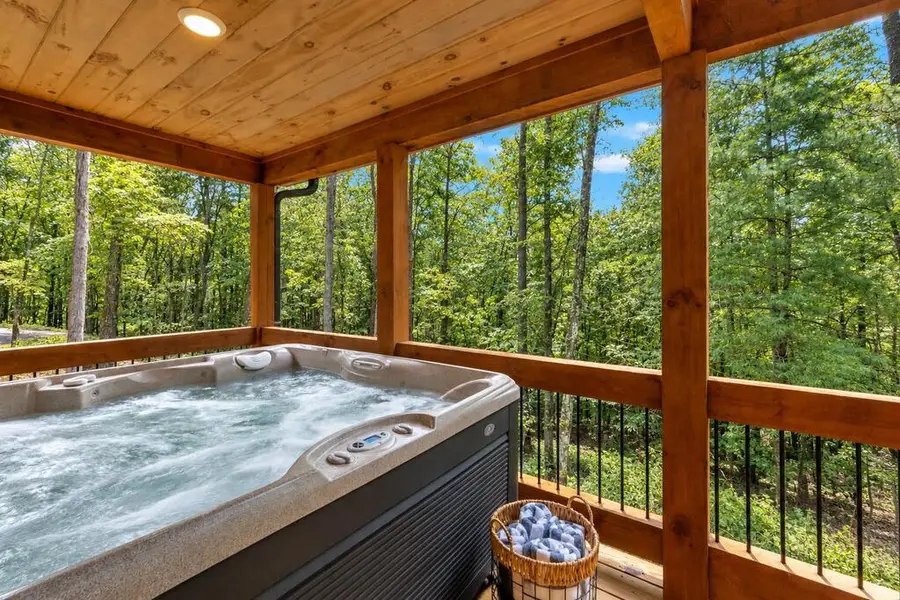 148 Haley Drive, Cherry Log, GA 30522 - #3