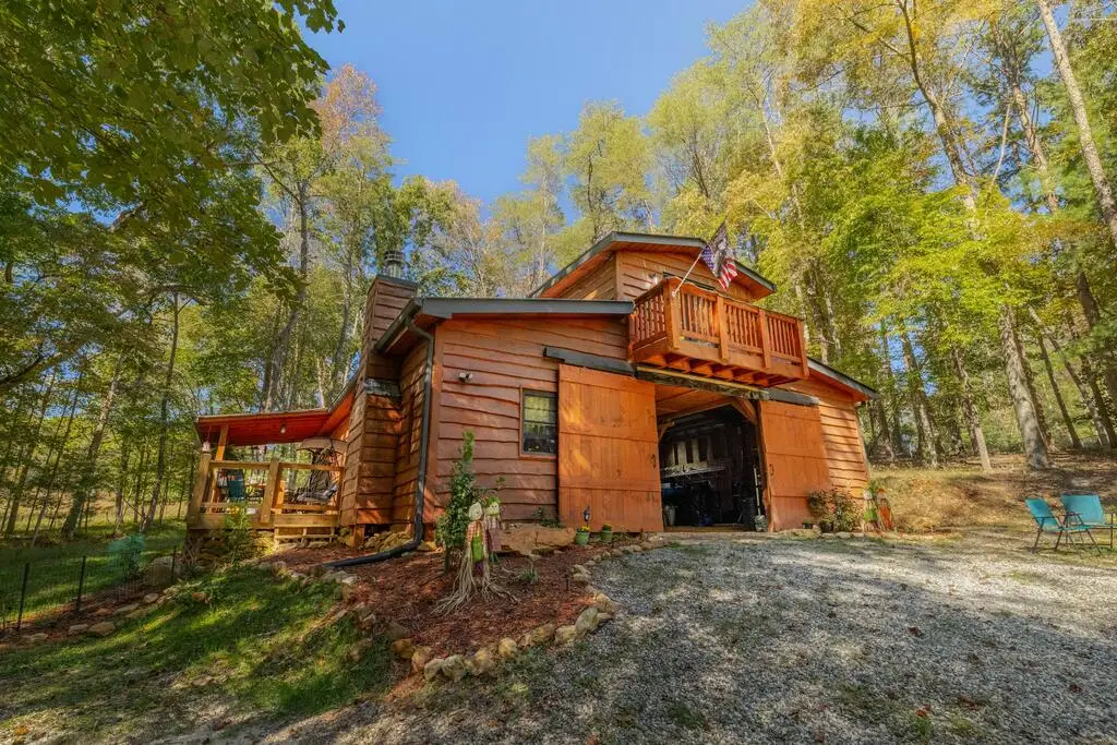 127 Black Ankle Drive, Cherry Log, GA 30522 - #1