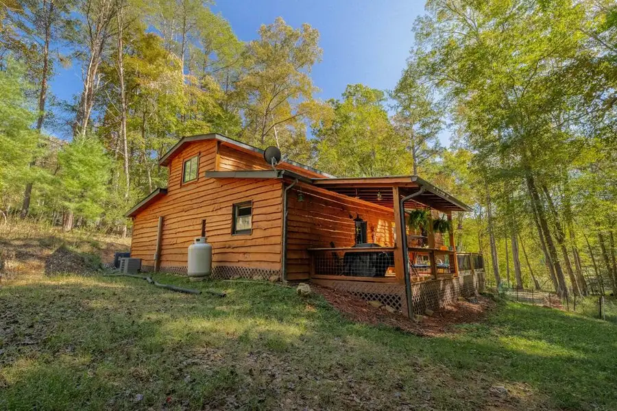 127 Black Ankle Drive, Cherry Log, GA 30522 - #3