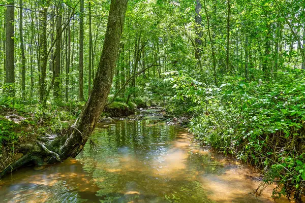 Lot 454 Woodward Way, Talking Rock, GA 30175