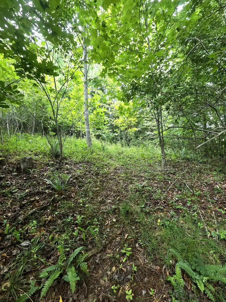50 Camp Branch Road, Topton, NC 28781 - #3