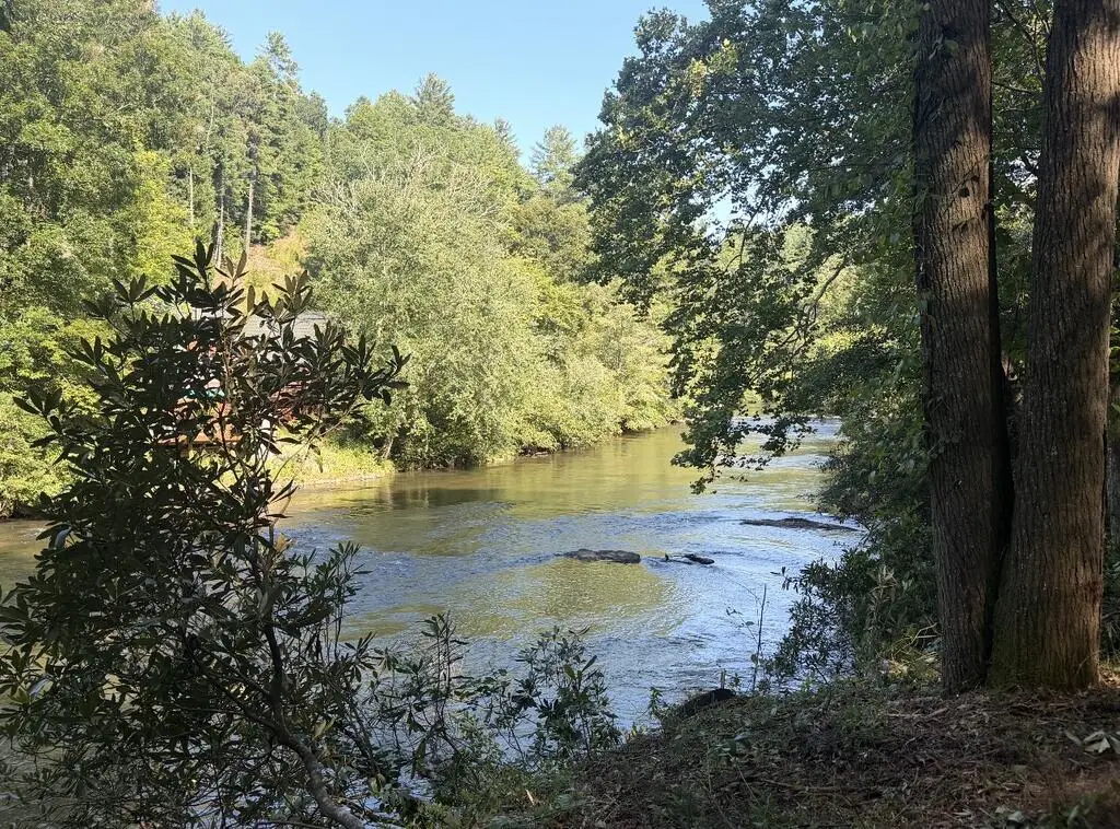 lot 2 Toccoa Shoals, Blue Ridge, GA 30513 - #1