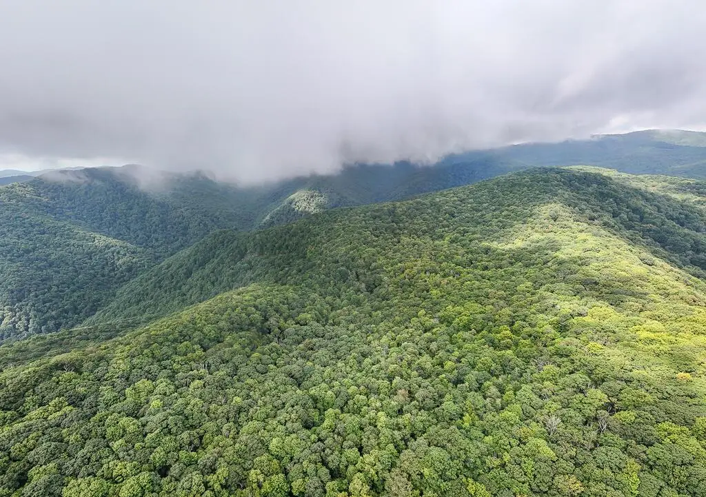 00 Huffman Creek Road, Robbinsville, NC 28771 - #1