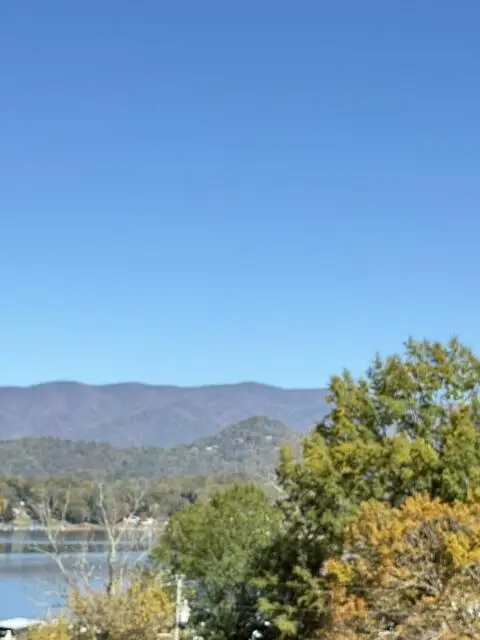 117 Dewey Ridge Lane, Hayesville, NC 28904 - #2