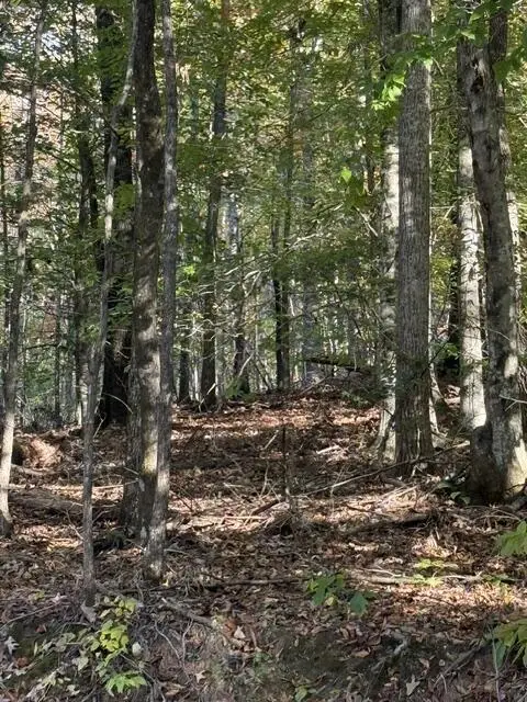 LOT 1 Henson Road, Hayesville, NC 28904 - #2