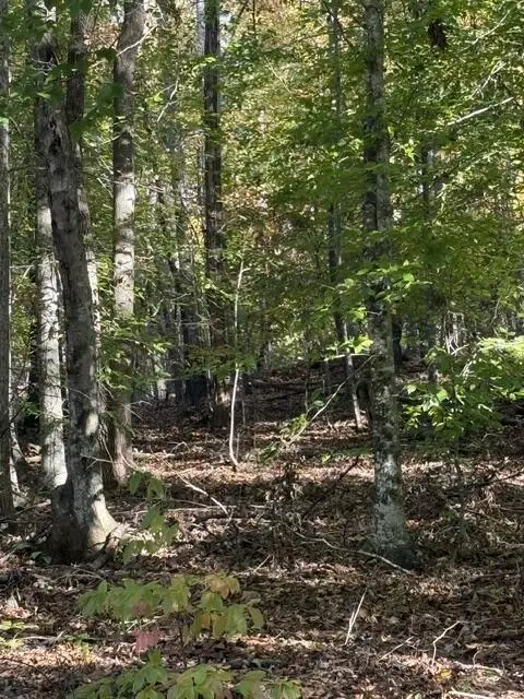 LOT 2 Henson Road, Hayesville, NC 28904 - #3
