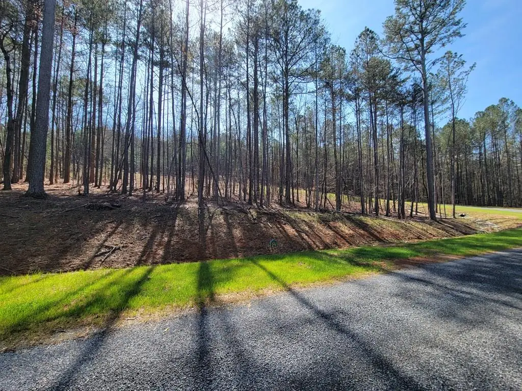 277 Mountaingate Way, Ellijay, GA 30536 - #1