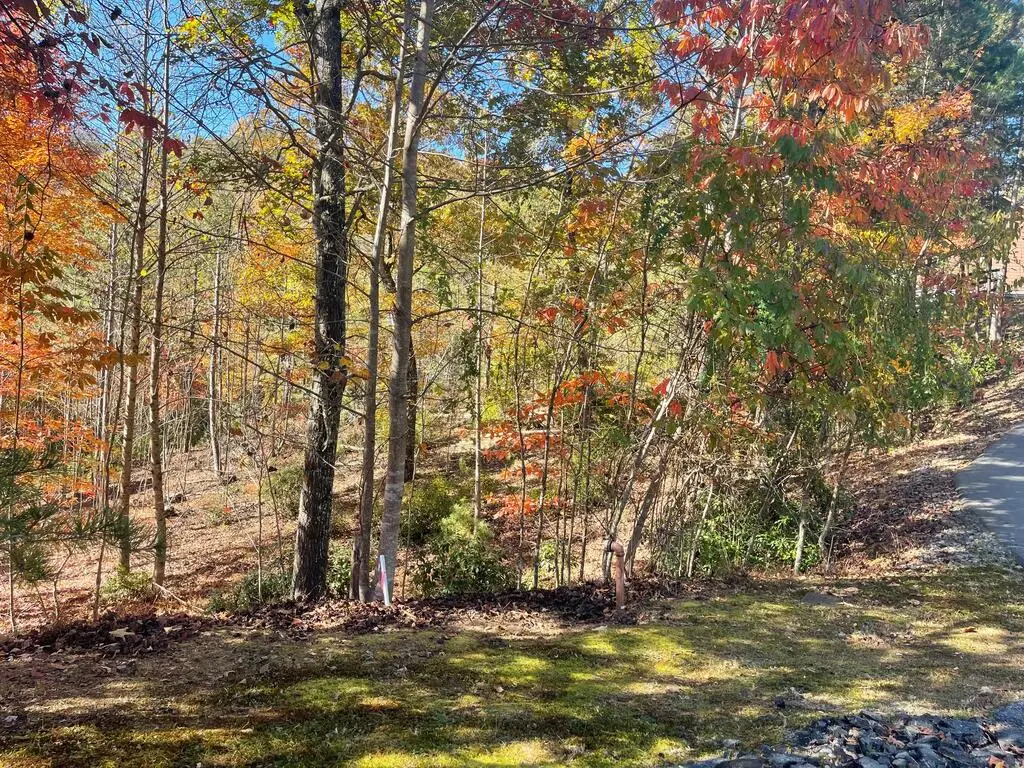 Lot #50 Ray Drive, Blairsville, GA 30512 - #1