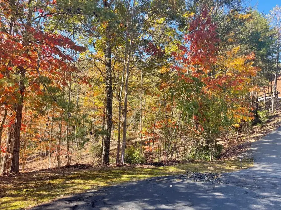 Lot #50 Ray Drive, Blairsville, GA 30512 - #2