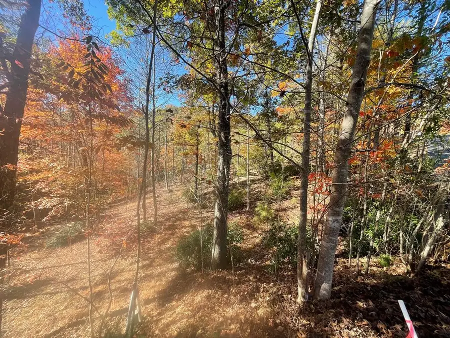 Lot #50 Ray Drive, Blairsville, GA 30512 - #3