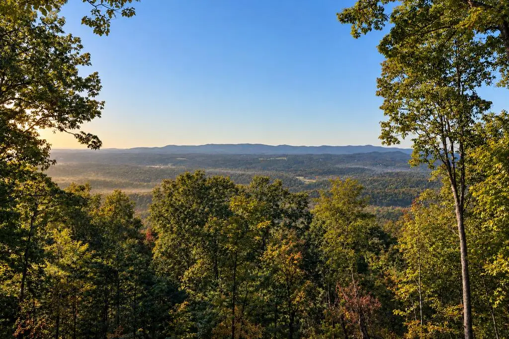 LT 32 Pheasant Tail Trace, Ellijay, GA 30536 - #1