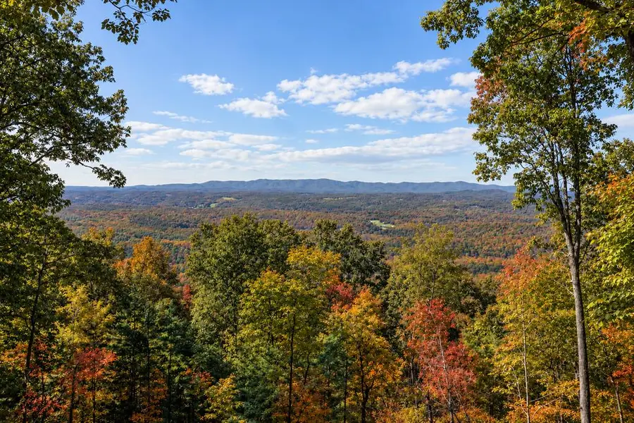 LT 32 Pheasant Tail Trace, Ellijay, GA 30536 - #3