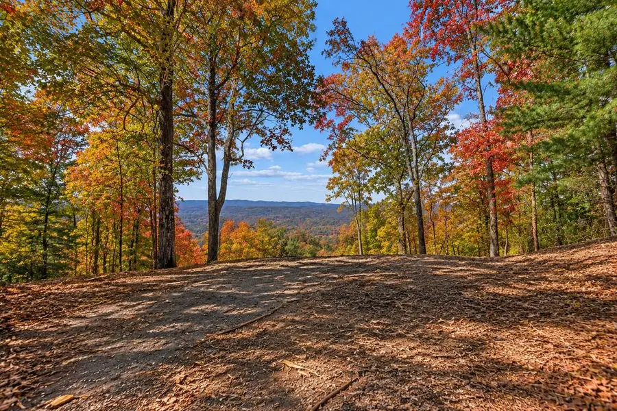 LT 33 Pheasant Tail Trace, Ellijay, GA 30536 - #2