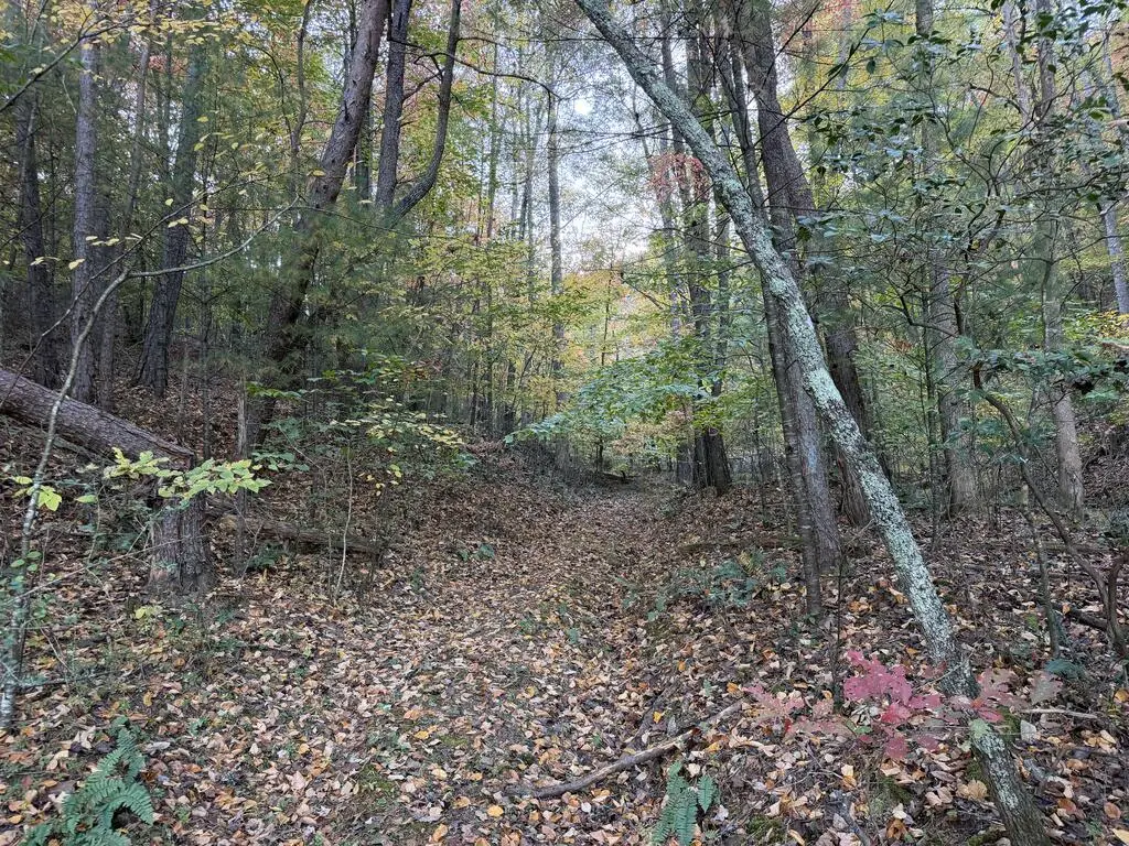 2067 Qualla Road, Hayesville, NC 28904 - #1