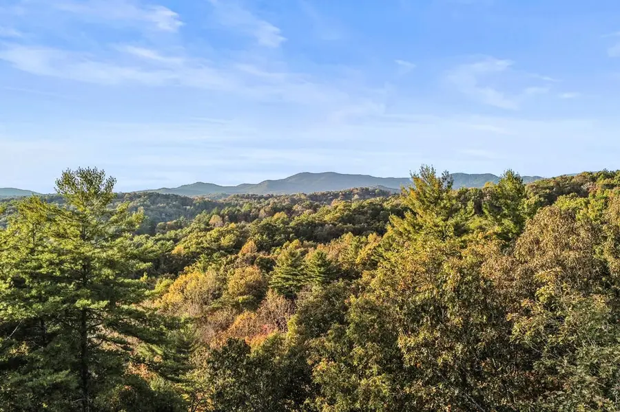 112 Lookiba Lane, Ellijay, GA 30540 - #2