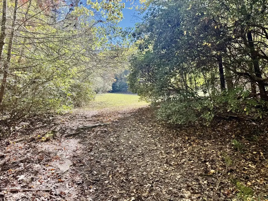 148 Charlie Lane, Murphy, NC 28906 - #2