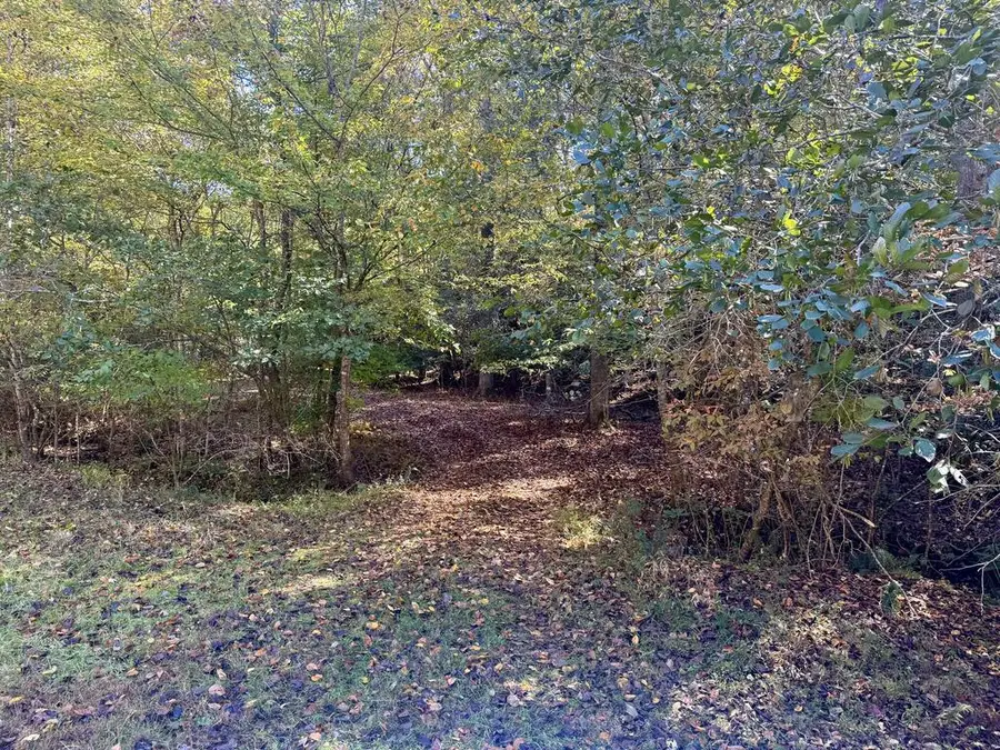 148 Charlie Lane, Murphy, NC 28906 - #3