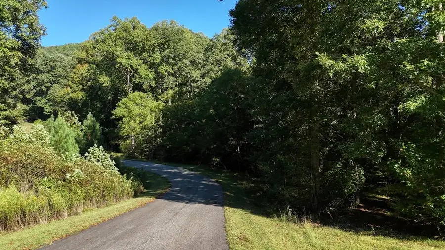 L64 Bowling Forest Lane, Blairsville, GA 30512 - #3