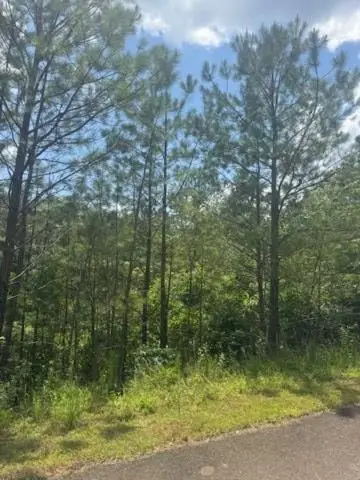 LT43&44 Reece Mountain Road, Ellijay, GA 30536 - #1