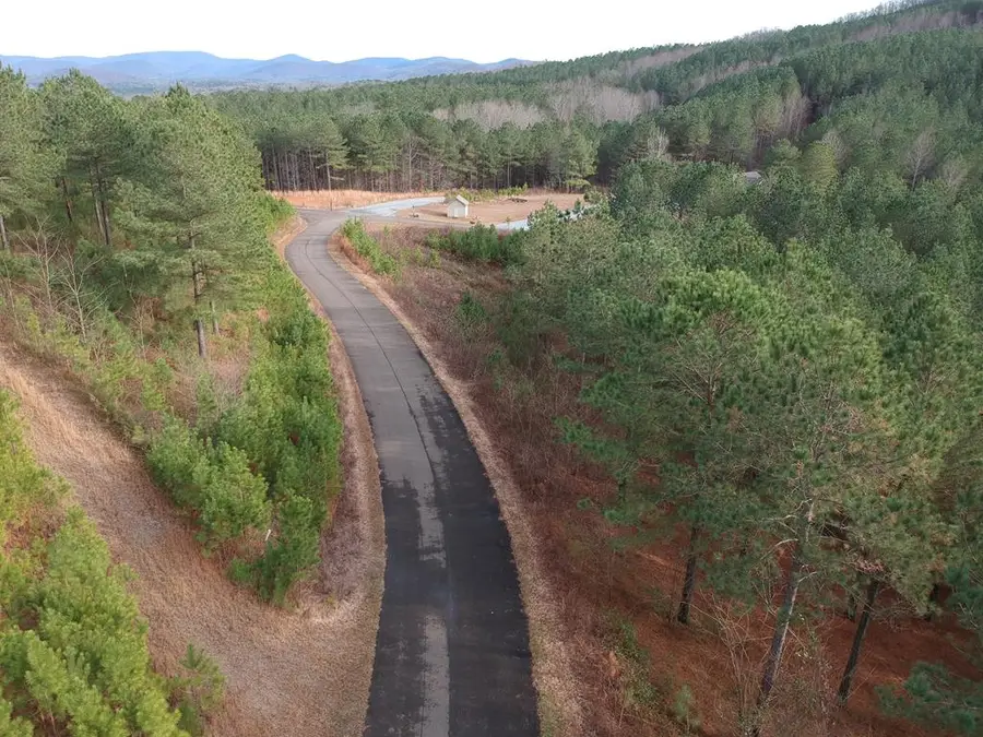 LT43&44 Reece Mountain Road, Ellijay, GA 30536 - #2
