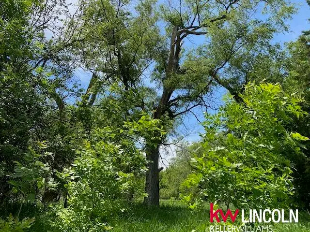 345 H Street, Palmyra, NE 68347 - Image #3