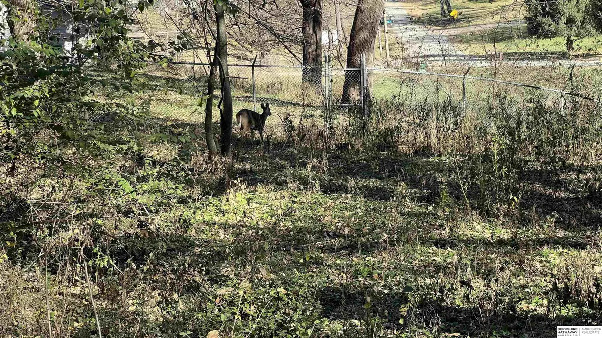 4412 Young Street, Omaha, NE 68112 - Image #1