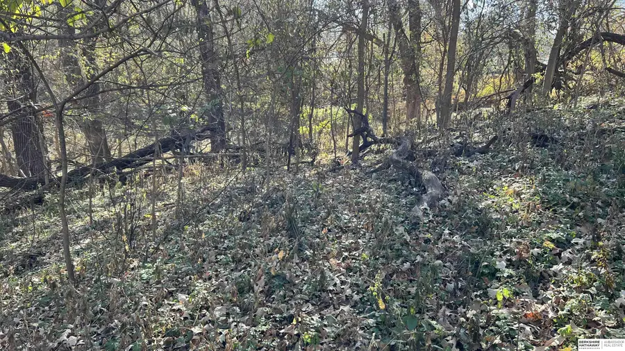 4412 Young Street, Omaha, NE 68112 - Image #2