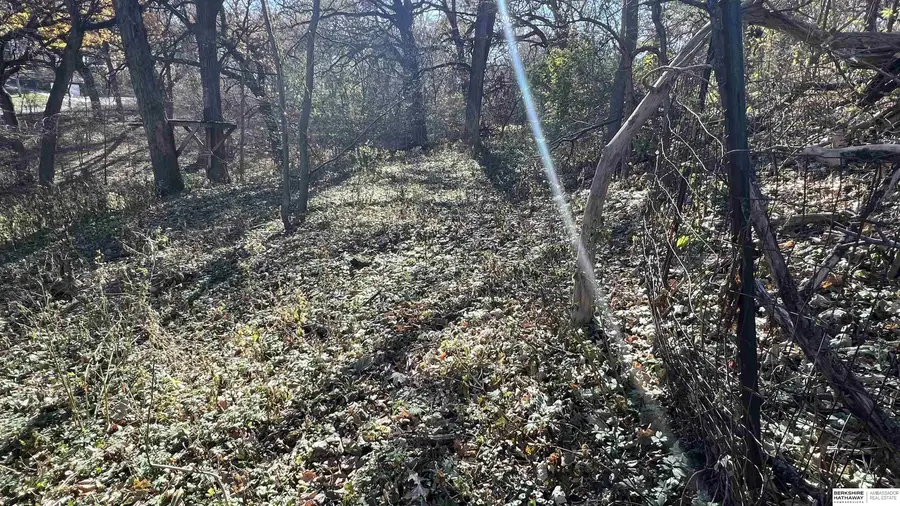 4412 Young Street, Omaha, NE 68112 - Image #3