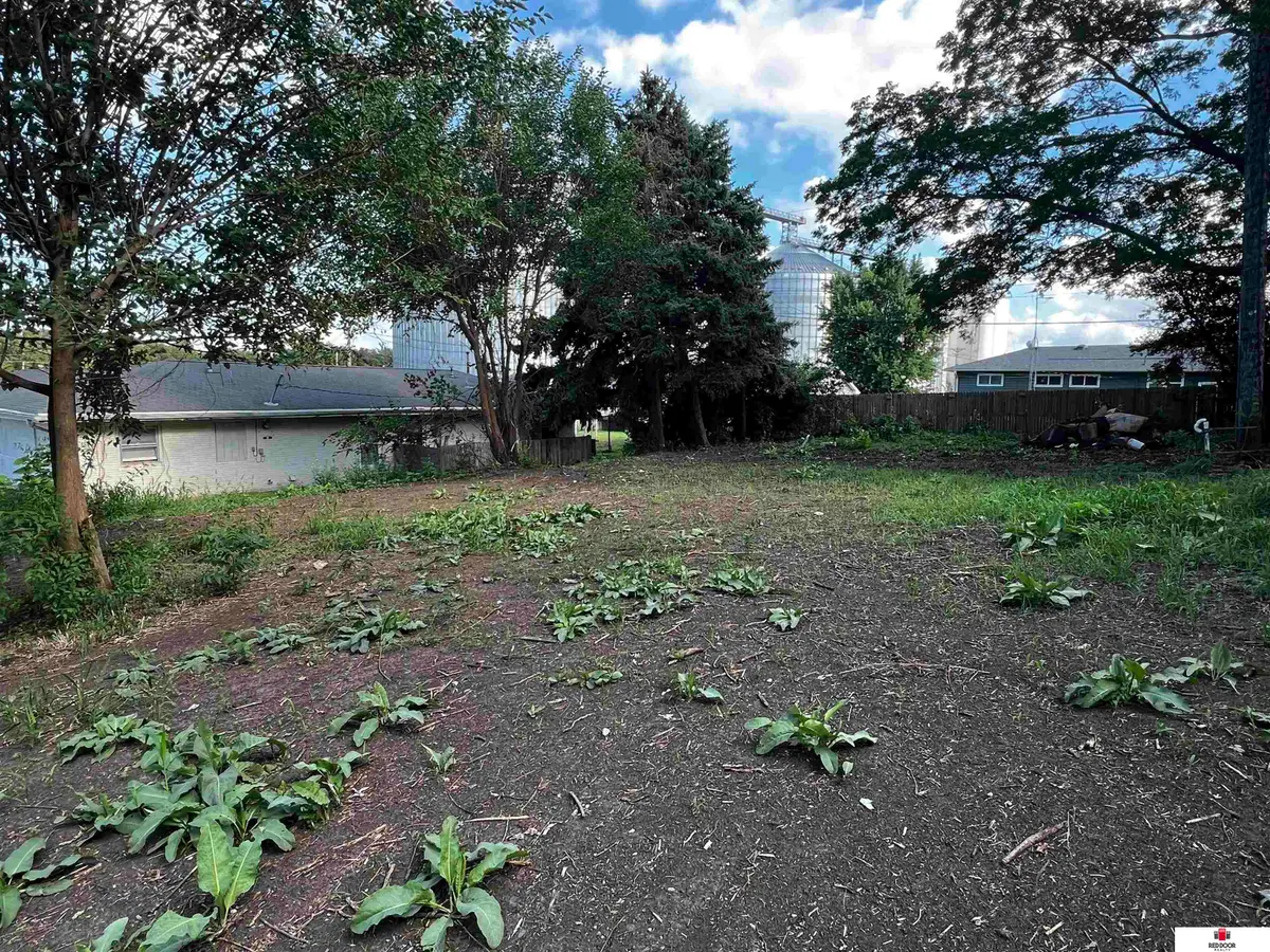 117 W Main Street, Ceresco, NE 68017 - Image #1