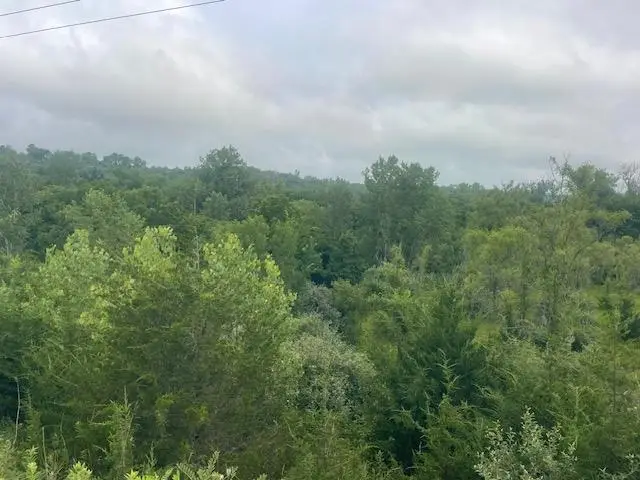 TBD County Road P32 & P39, Fort Calhoun, NE 68023 - Image #3