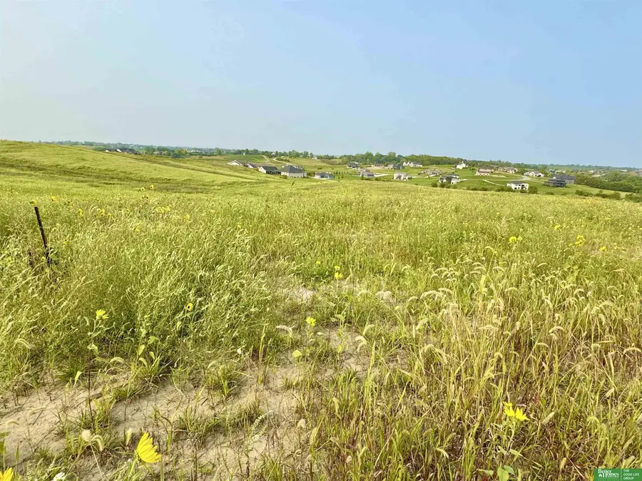 TBD Lot 42 Street, Gretna, NE 68028 - Image #3