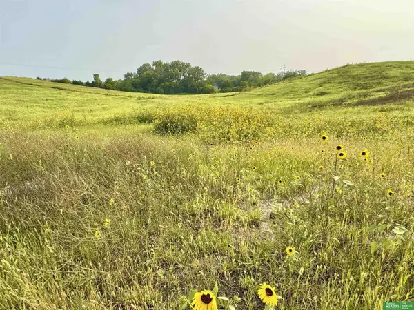 22611 Copper Ridge Road, Gretna, NE 68028