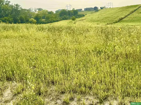 12212 S 226th Street, Gretna, NE 68028