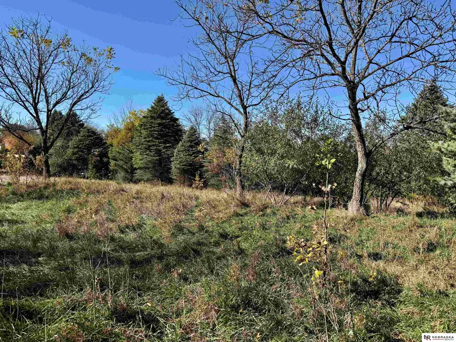 6711 Platteview Road, Papillion, NE 68133 - Image #2