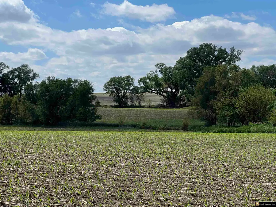 Parcel 4 Spring Saunders County Acreages County Road, Yutan, NE 68073-5023 - Image #2