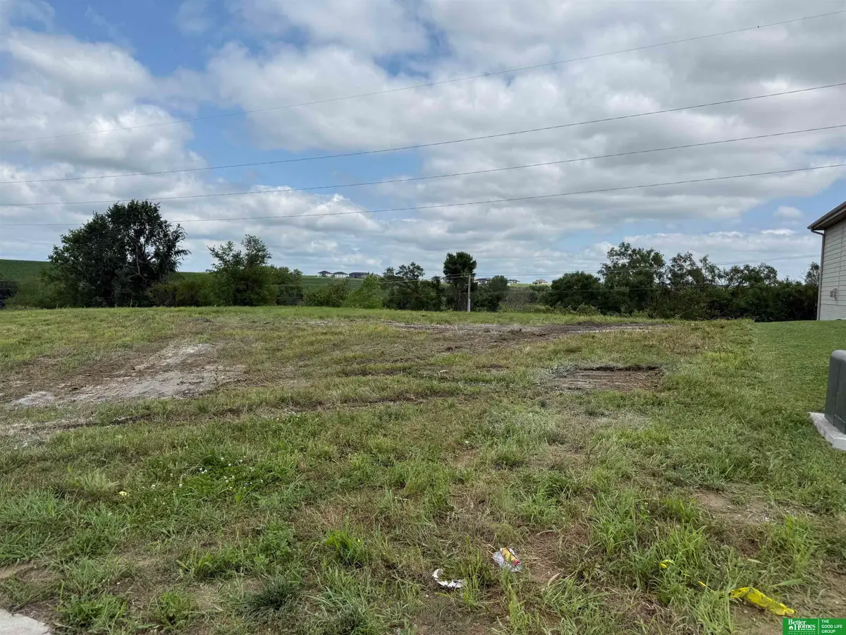 5513 N 205th Street, Elkhorn, NE 68022 - #1