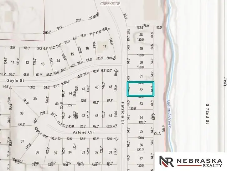 1009 Patricia Drive, Papillion, NE 68046 - #2