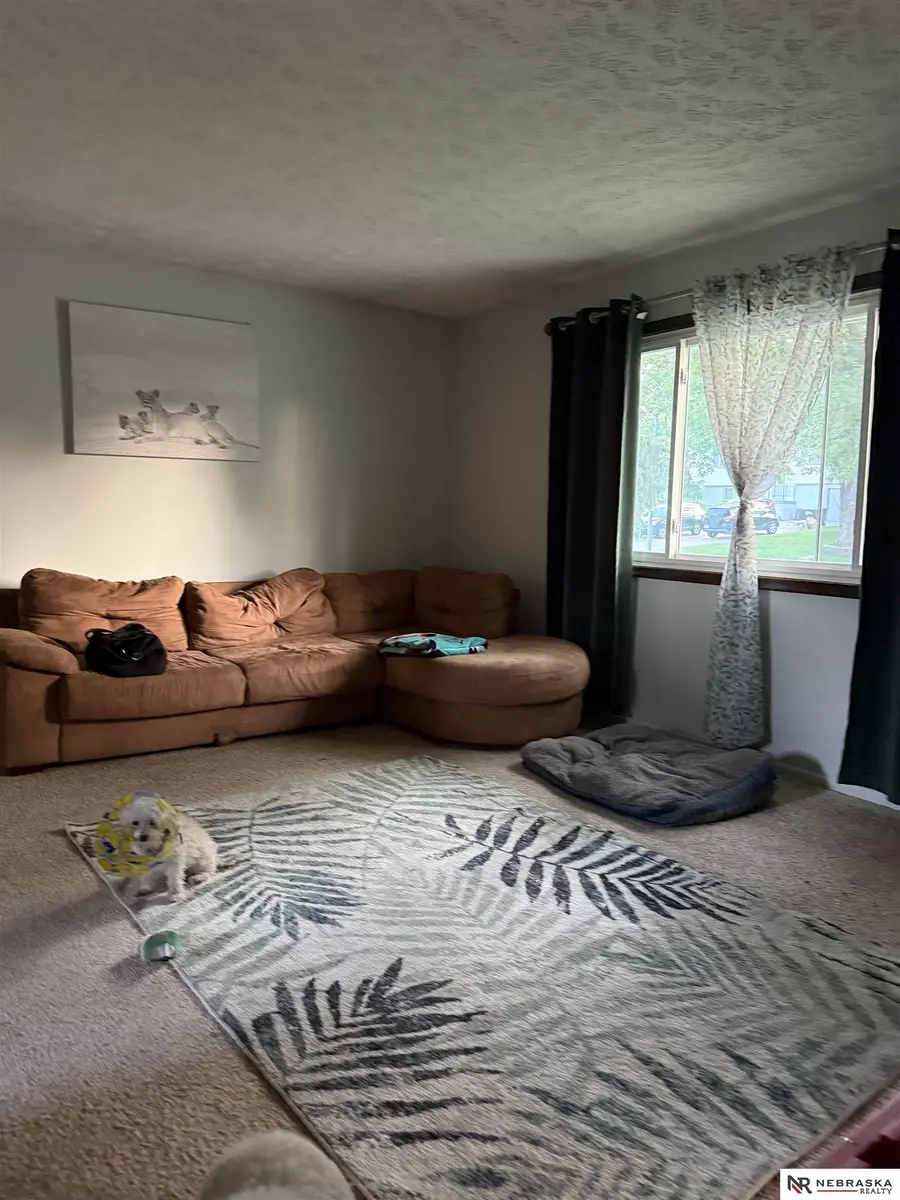 12729 Fowler Circle, Omaha, NE 68164 - #3