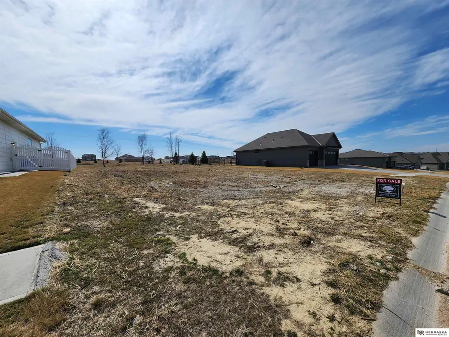 10221 Cove Hollow Drive, Papillion, NE 68046 - #3